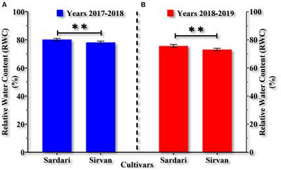 The effect of rhizobia in improving the protective mechanisms of wheat under drought and supplementary irrigation conditions